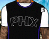 regata  phoenix™