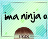 B*Ninja