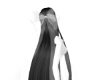 hair
