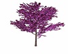 Purple Fall