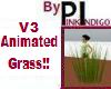 PI - Moving Grass - V3
