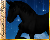 I~Black Clydesdale Horse