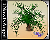(1NA) Plant F181
