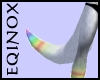 Rainbow Tail (M/F)