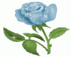 blue rose sticker
