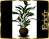 [Efr] Plant in a Pot 2