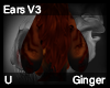 Ginger Ears V3