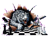 Chess Tiger