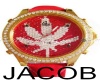 jacob3