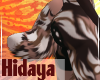 Hidaya-M/F TailV4