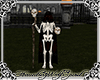 Skeleton Gaurd