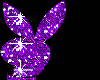 Purple Playboy Sparkle