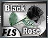 [FLS] Rose Black Special