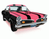 Pink Car + Radio