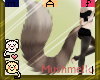 Kedi's Tail V1
