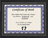 Aston Birth Certificate