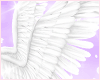 Angelise Wings