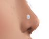 AM*nose piercing 01