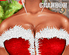 CH*Xmas Body 2