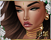 !C Acland Skin Mocha
