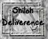 [Ru] Deliverence Shiloh