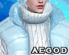 Ⱥ™ Winter Puffer