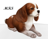 BEAGLE DOG