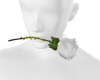Unisex White Rose
