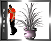 L] Vase Plant Mesh