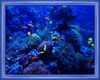 Blur Aqua Club 2 sided