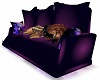 KCL Plum Cuddle Couch