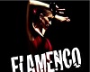 Posters Flamenco 3