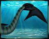 Tyrant Tail V.2