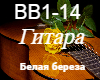 Gitara-Belaya bereza