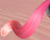 Pink Tail