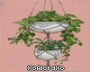 (A) Hanging Plants
