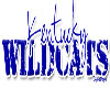 kentucky wildcats