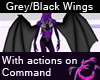Grey/Black Wings