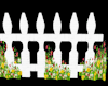 White Fence w/Flowers