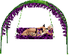 swing purple Anja