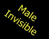 Male Invisible
