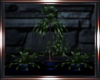 Dark Nights Floor Plant