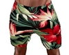 Tropical Red Trunks