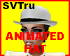 Animated HAT SVT 3
