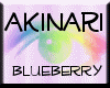 [PT] AKINARI blueberry