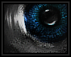 Blue Unisex Eyes