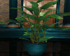 Goddess Plant#2