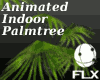 Animated Indoor Palmtree