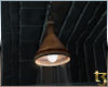 TTC Steam and Steam Lamp