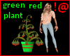 !@ Green red plant